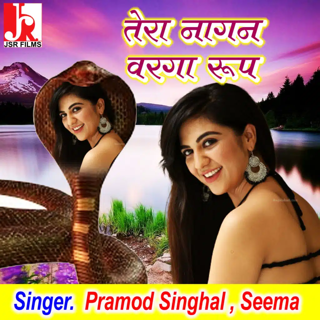 Pramod Singhal & Seema