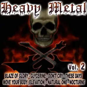 Heavy Metal Vol.2