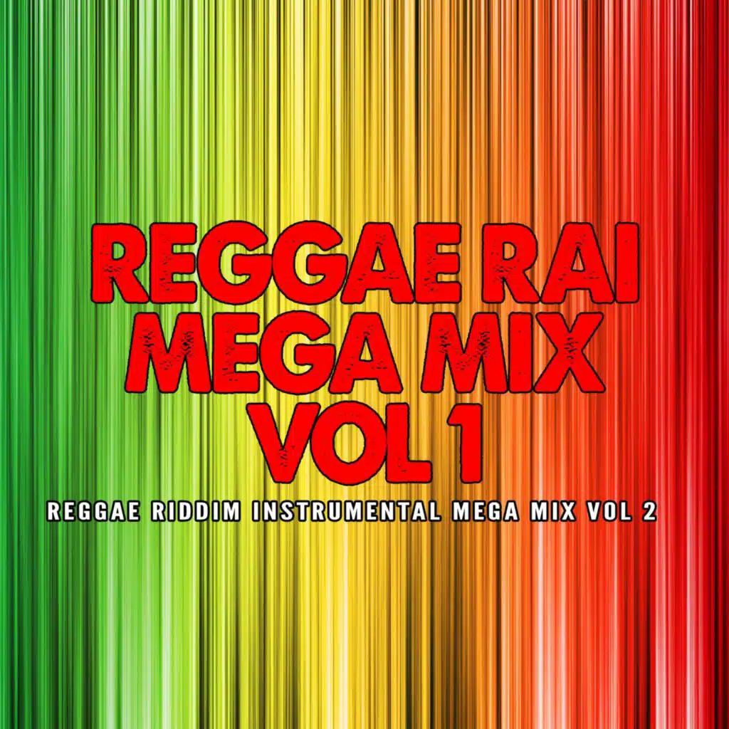 Baida Mon Amour (Instrumental)