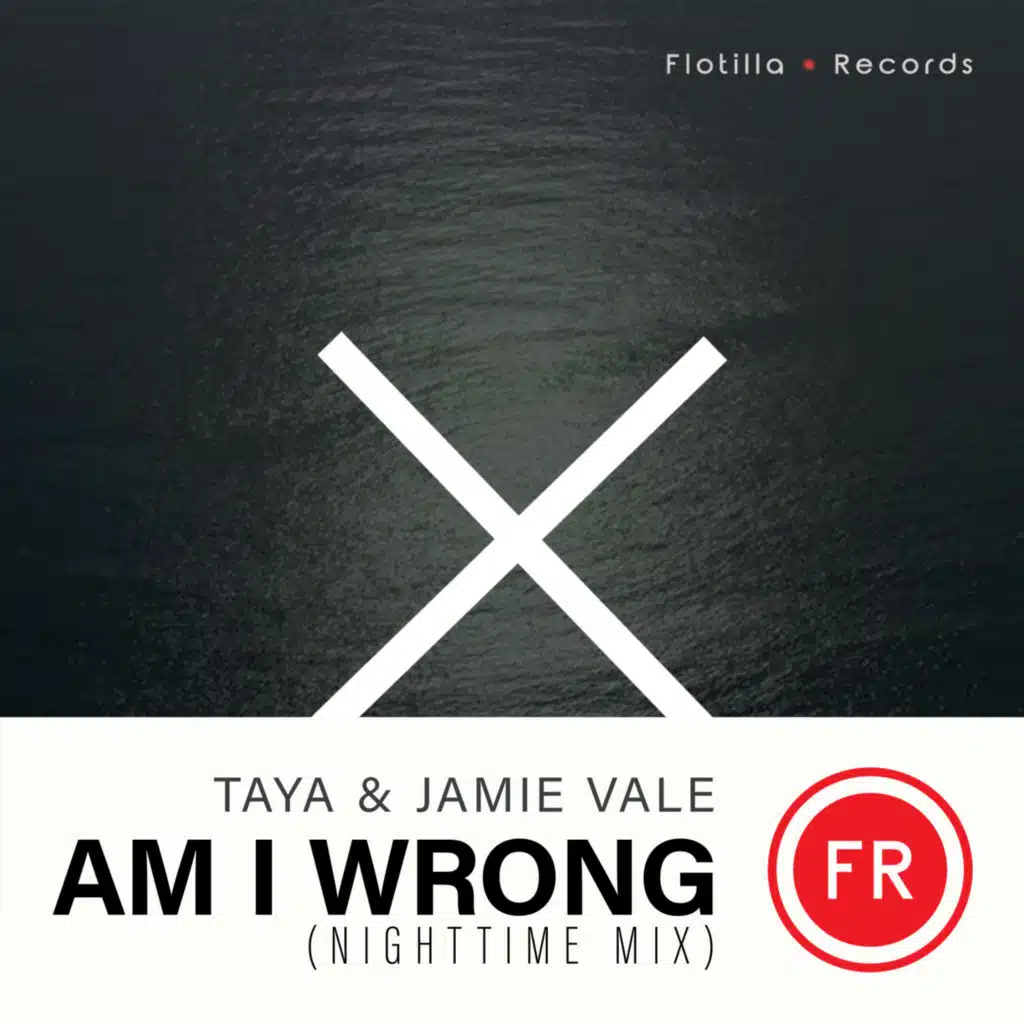 Am I Wrong (Nighttime Mix Radio Edit)