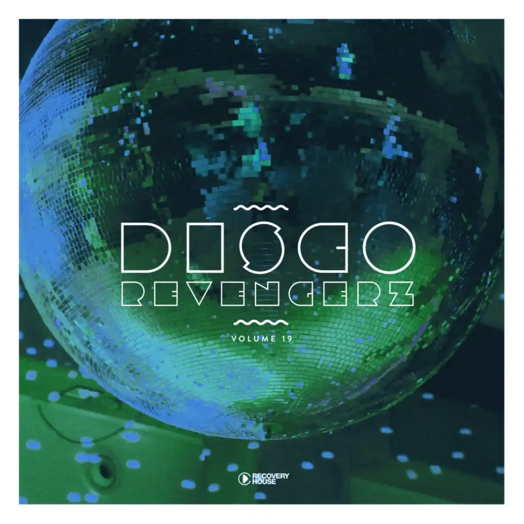 Disco Revengerz, Vol. 19 - Discoid House Selection