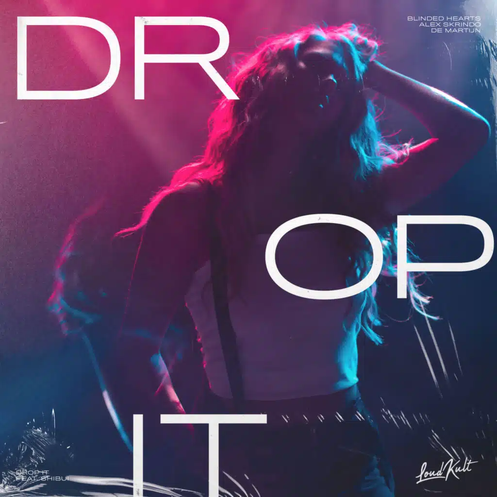 Drop It (feat. Shibui)