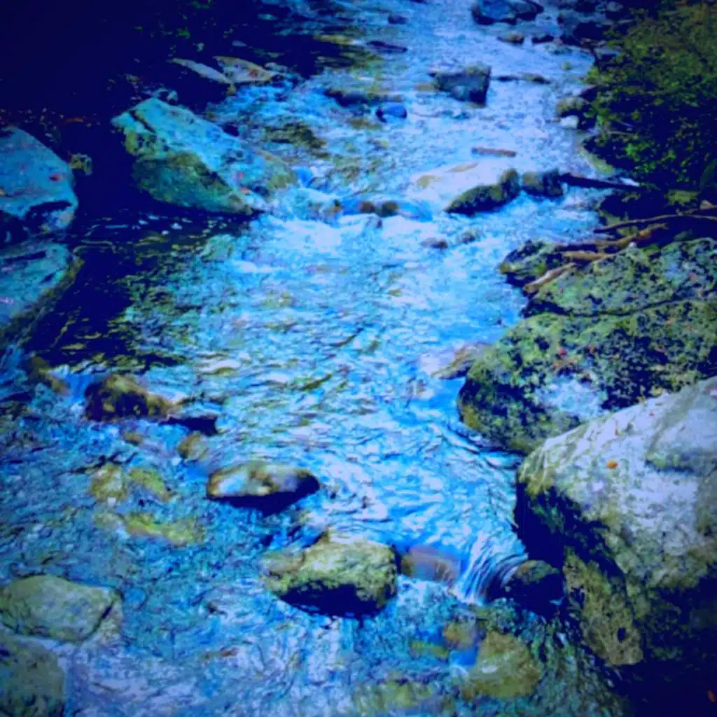 This Is Water