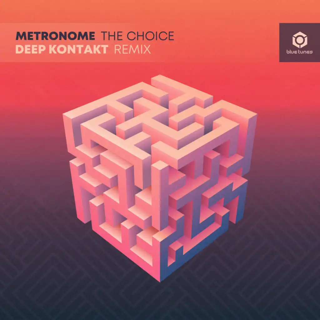 The Choice (Deep Kontakt Remix)