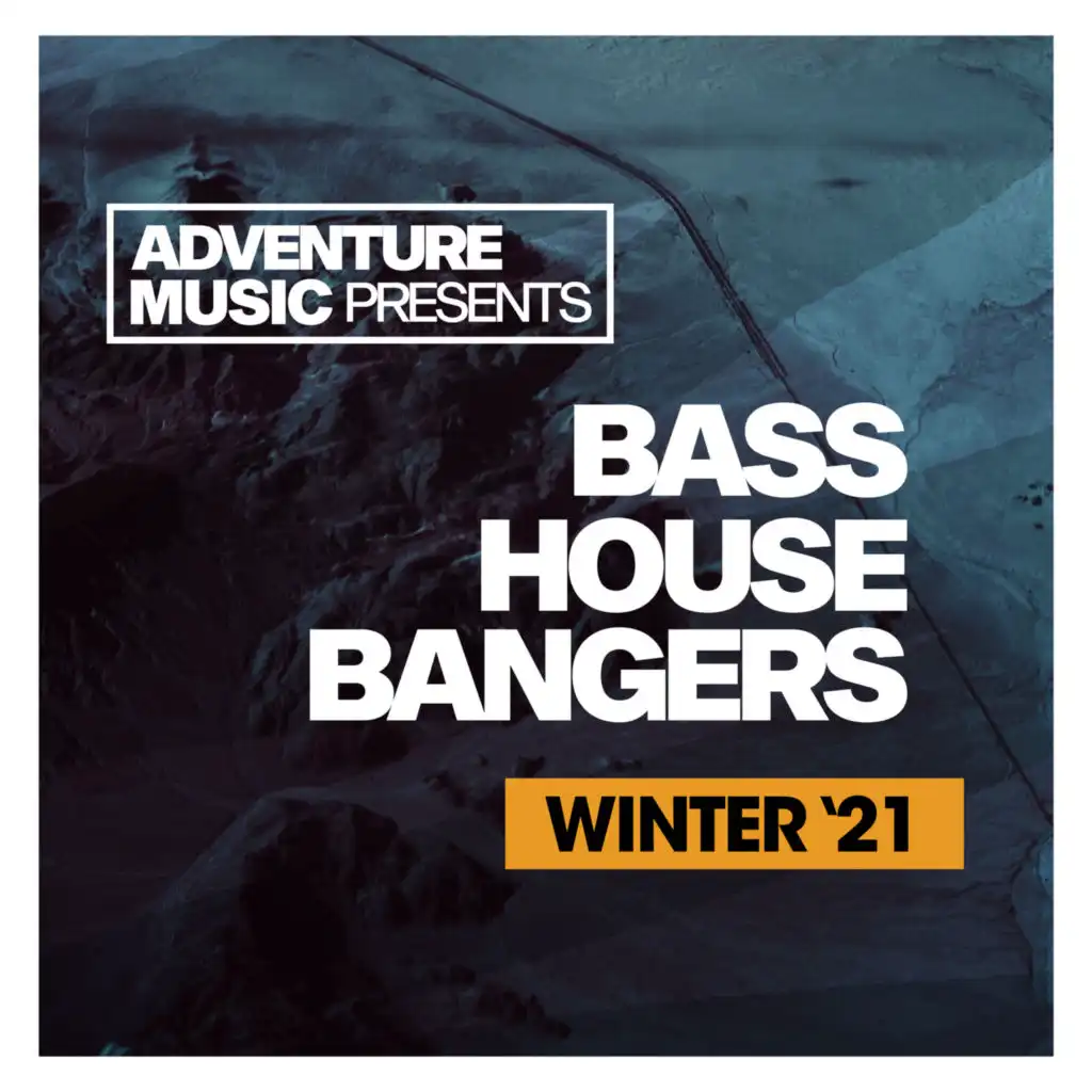 Bass House Bangers (Winter '21)