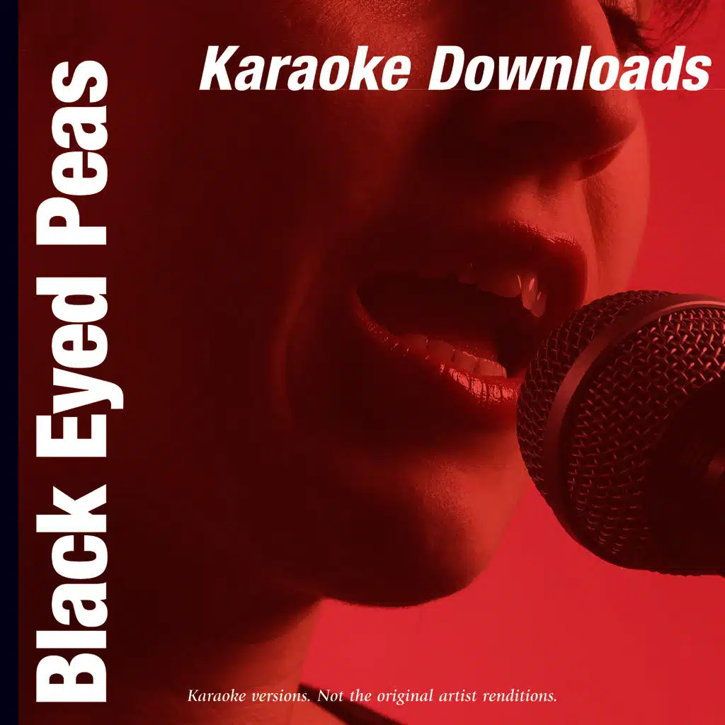 Boom Boom Pow (In The Style Of Black Eyed Peas)