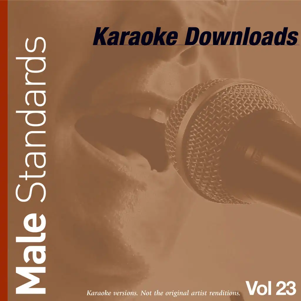 Karaoke Downloads - Male Standards Vol.23