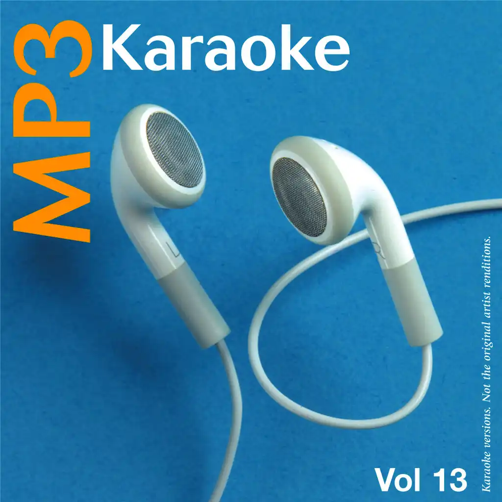 MP3 Karaoke Vol.13