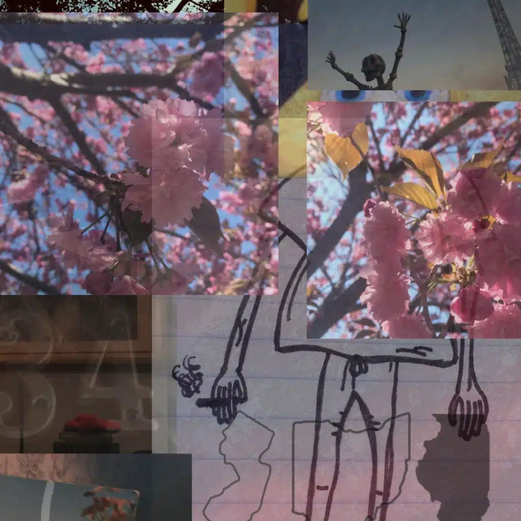 How About Those Birds