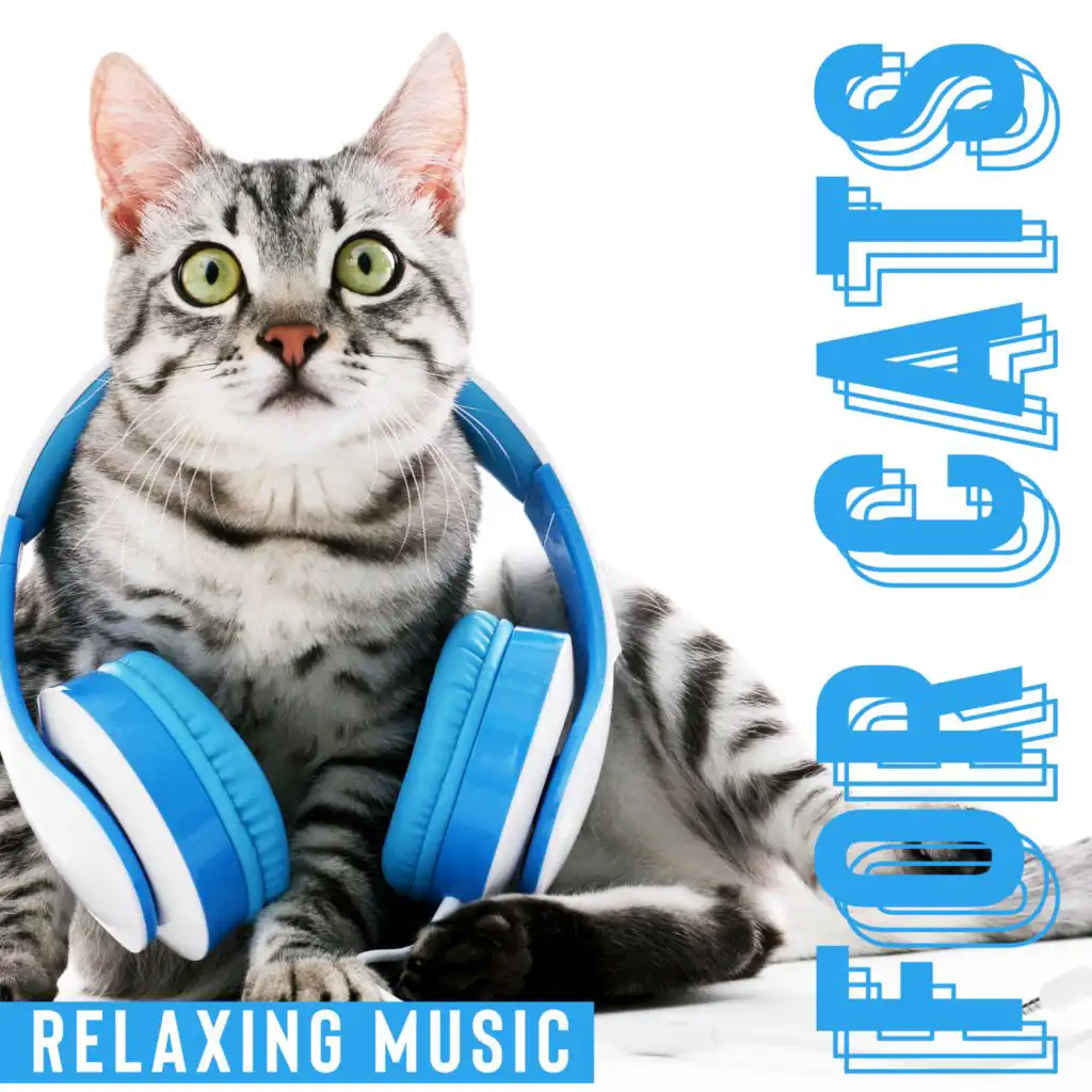 Relaxing Music for Cats (Therapy Music for Anxiety & Calm Sleep, Relax with Your Cat)