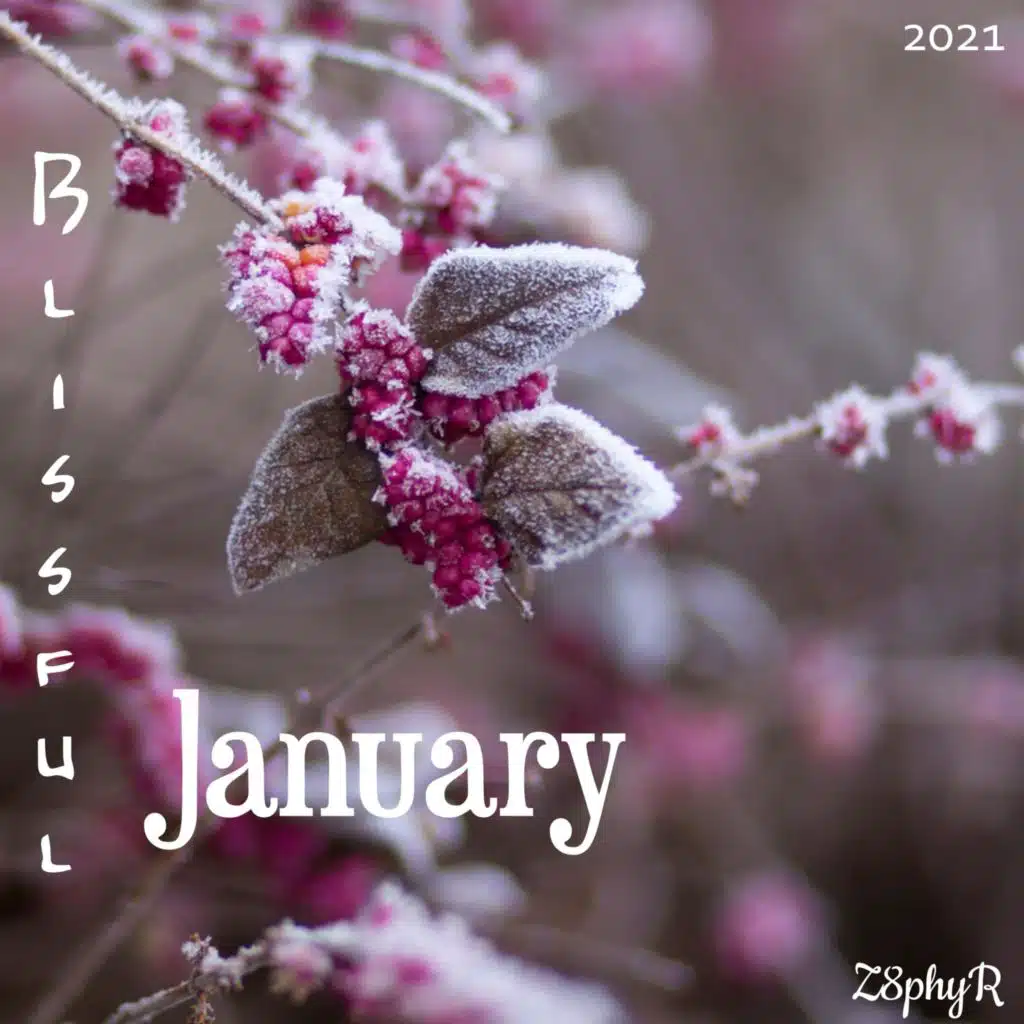 In Violet Skies