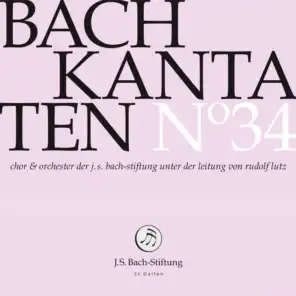 Peter Harvey, Rudolf Lutz & Orchester der J.S. Bach-Stiftung