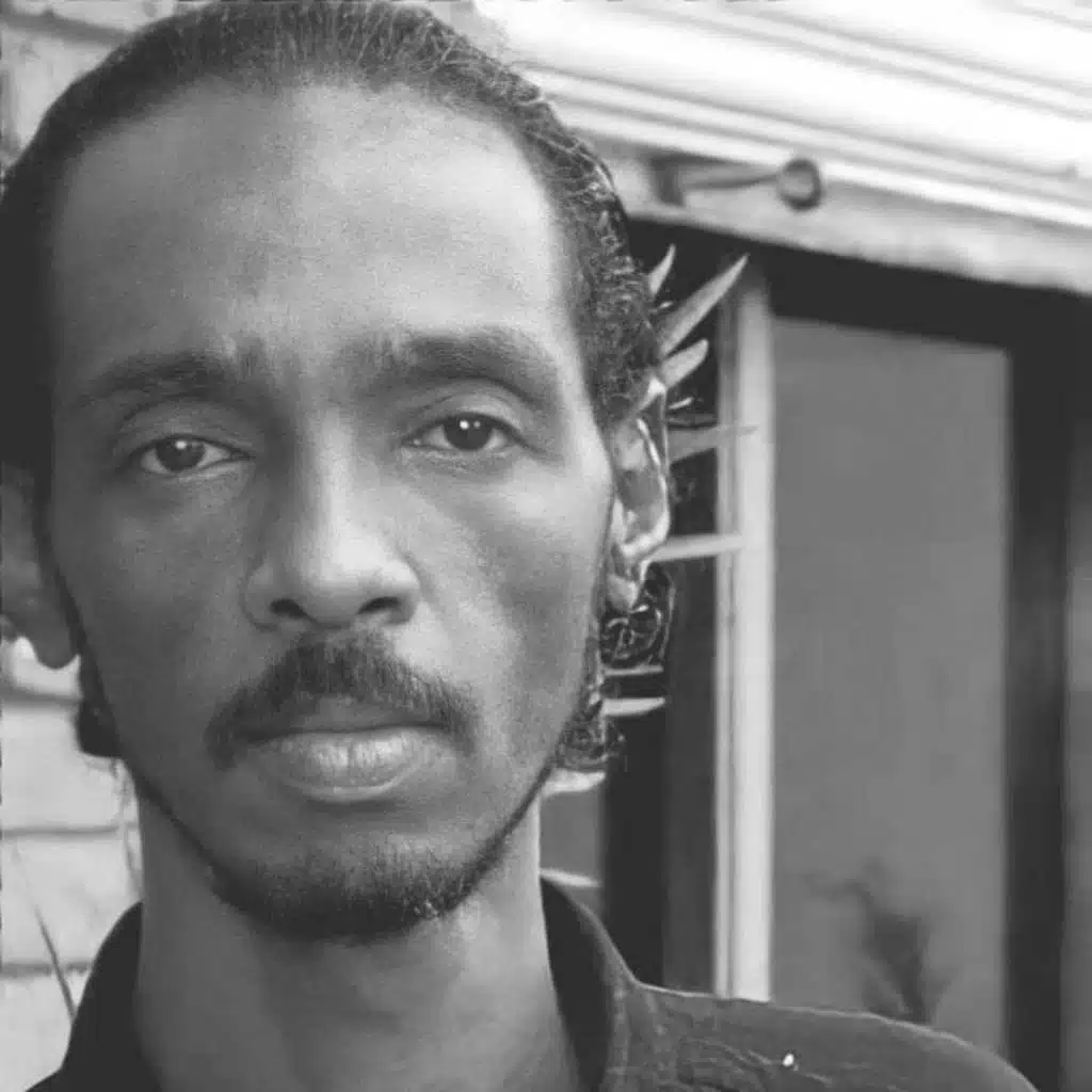 محمود عبد العزيز