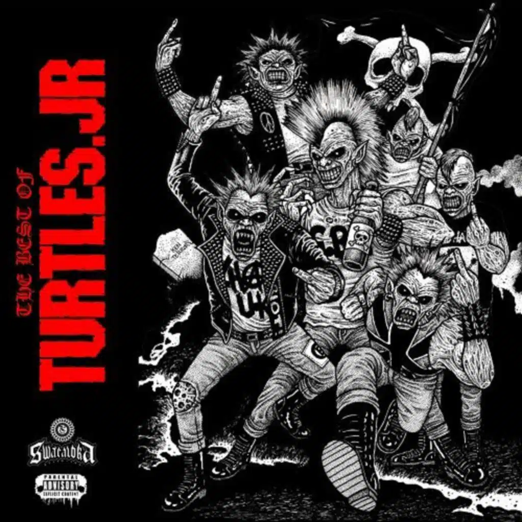 The Best of Turtles Jr