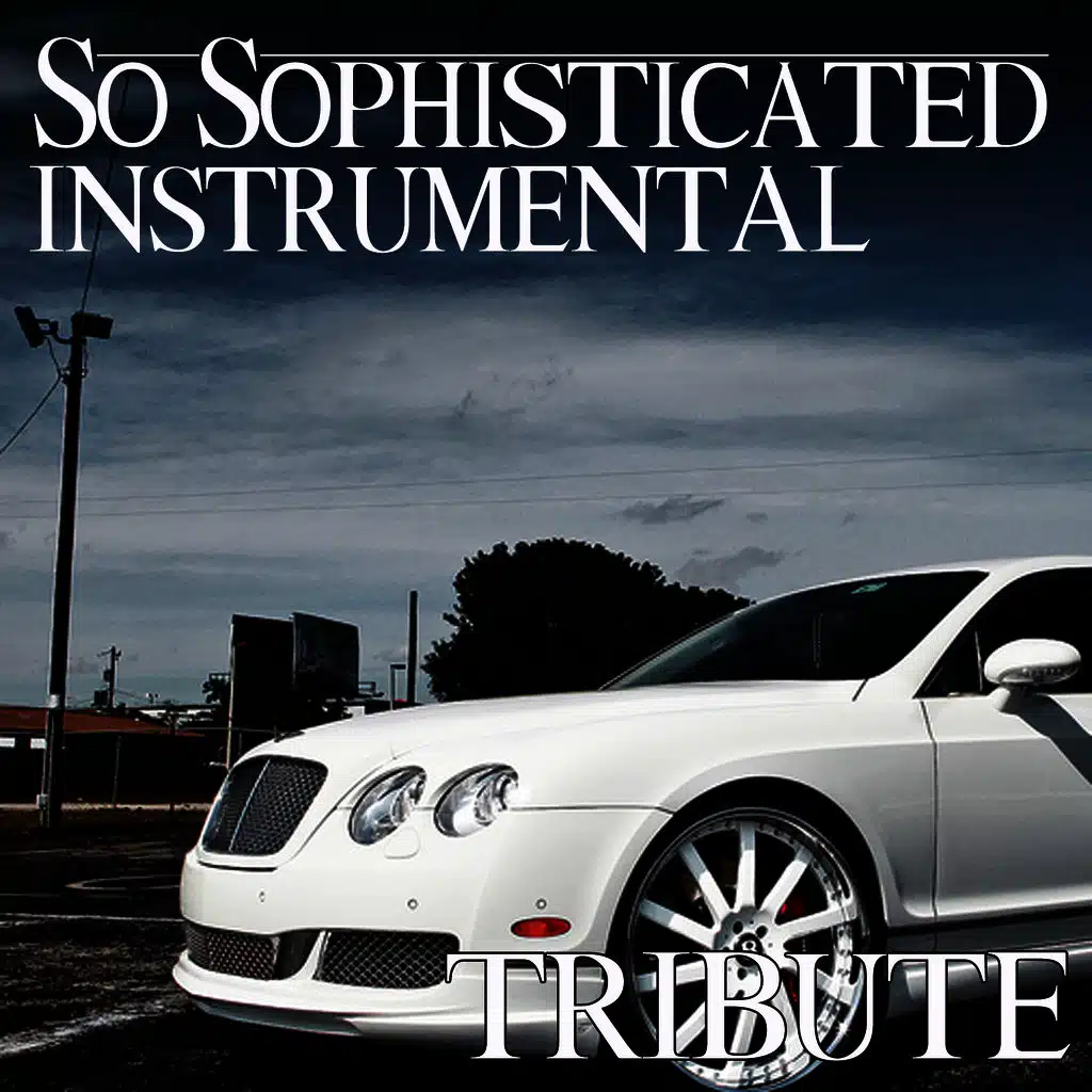 So Sophisticated (Rick Ross Feat. Meek Mill Instrumental Tribute)