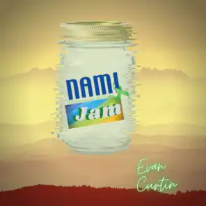 N.A.M.I. Is My Jam (feat. Chris Standring)