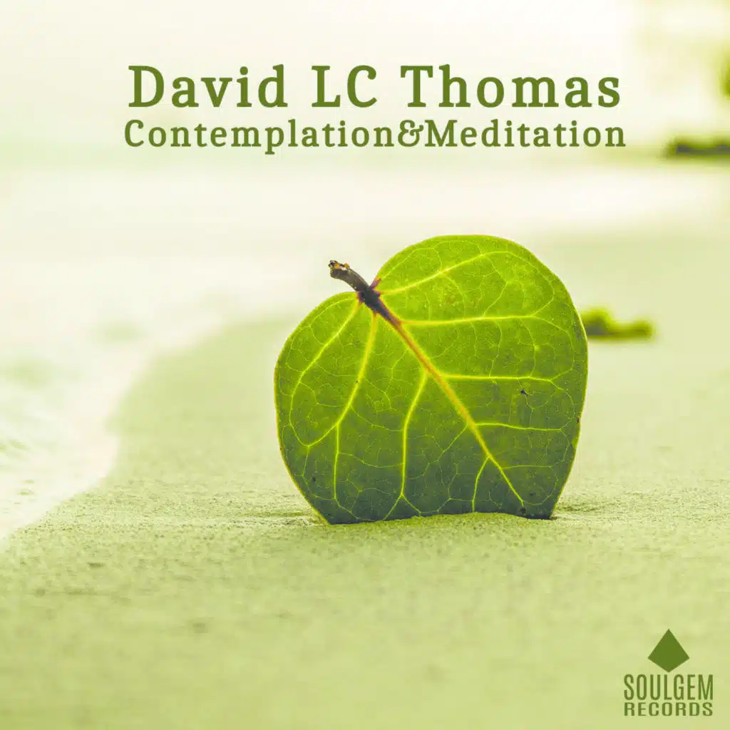 Contemplation & Meditation