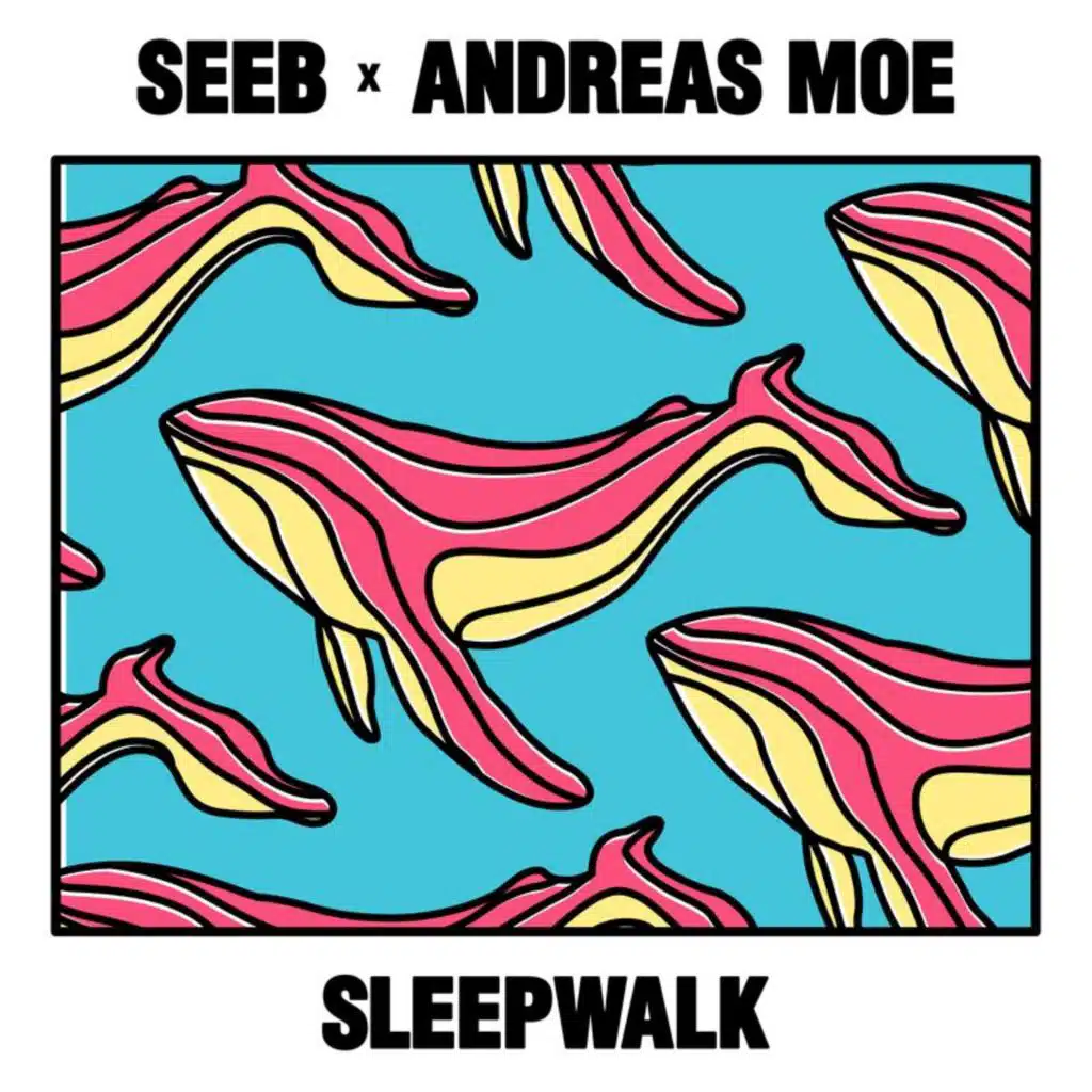 Andreas Moe & Seeb