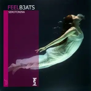 I Don't Need Anything From You (FEELB3ATS INSTRUMENTAL REMIX)