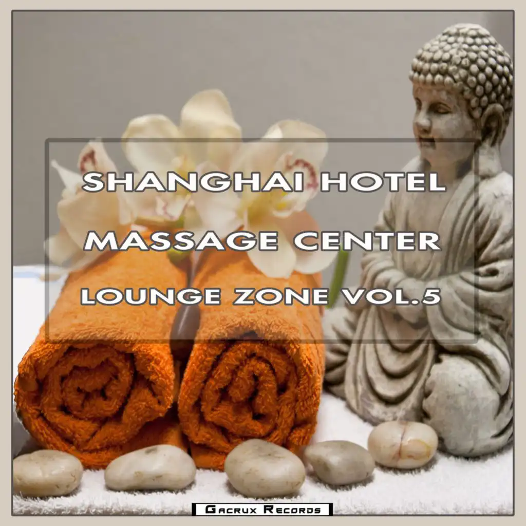 Shanghai Hotel Massage Center Lounge Zone, Vol. 5