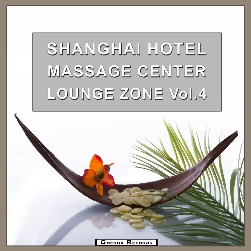 Shanghai Hotel Massage Center Lounge Zone, Vol. 4