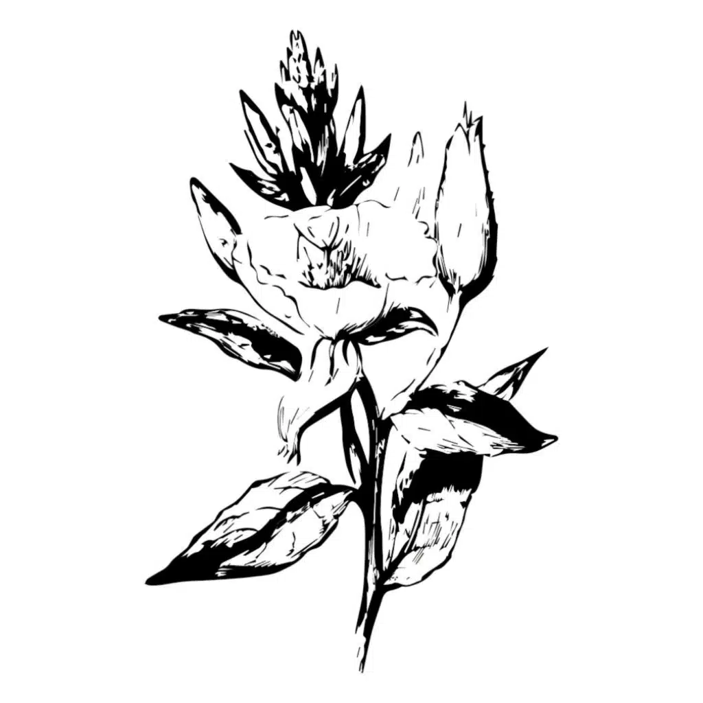 Acid 672 (Tensnake Quarantine Remix)