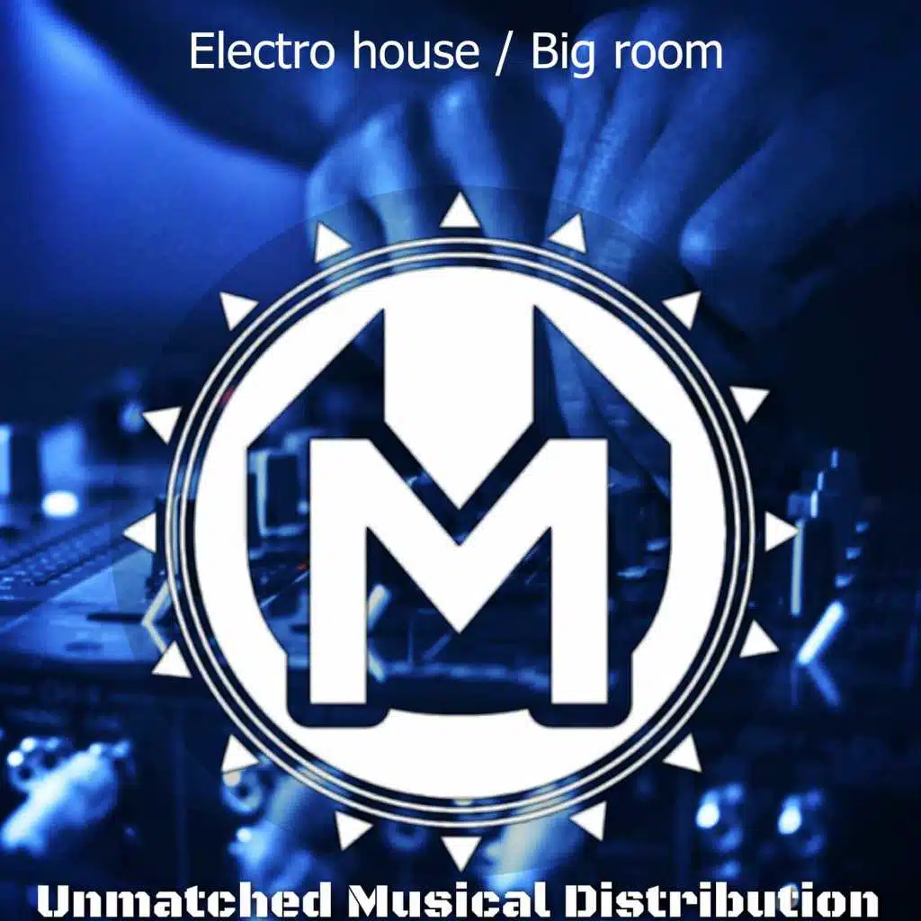 Electro House / Big Room
