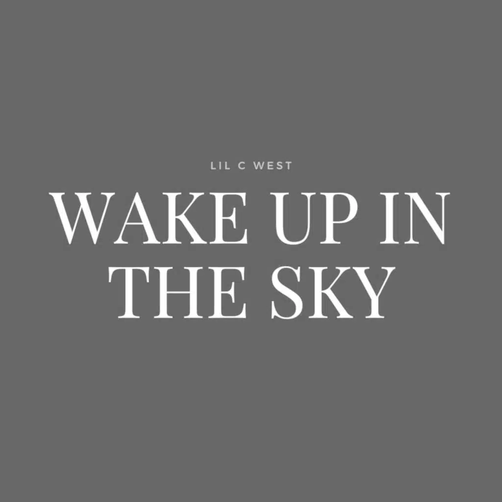 Wake Up In The Sky