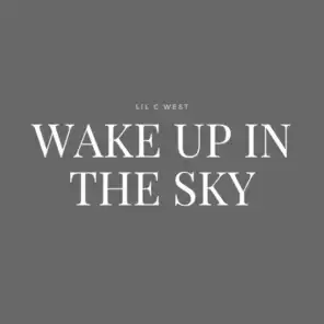 Wake Up In The Sky