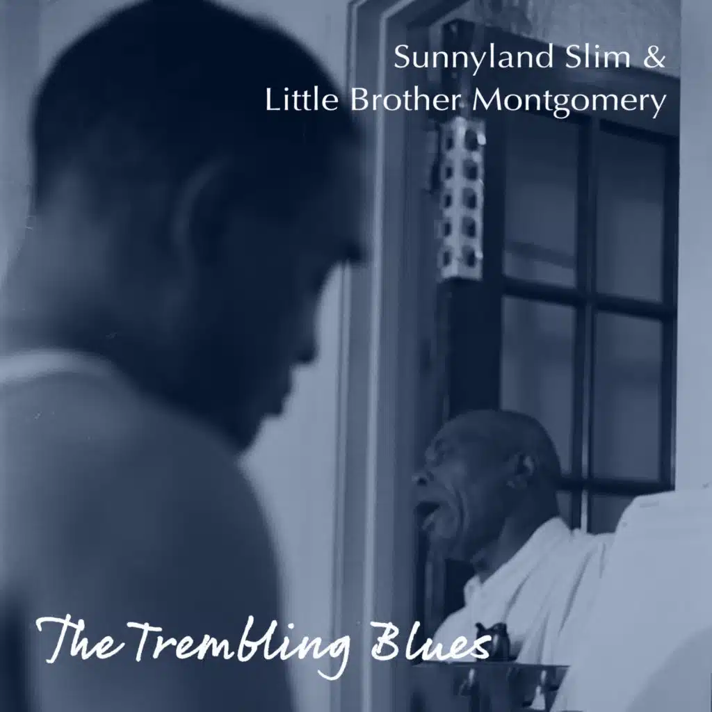 Sunnyland Slim, Little Brother Montgomery