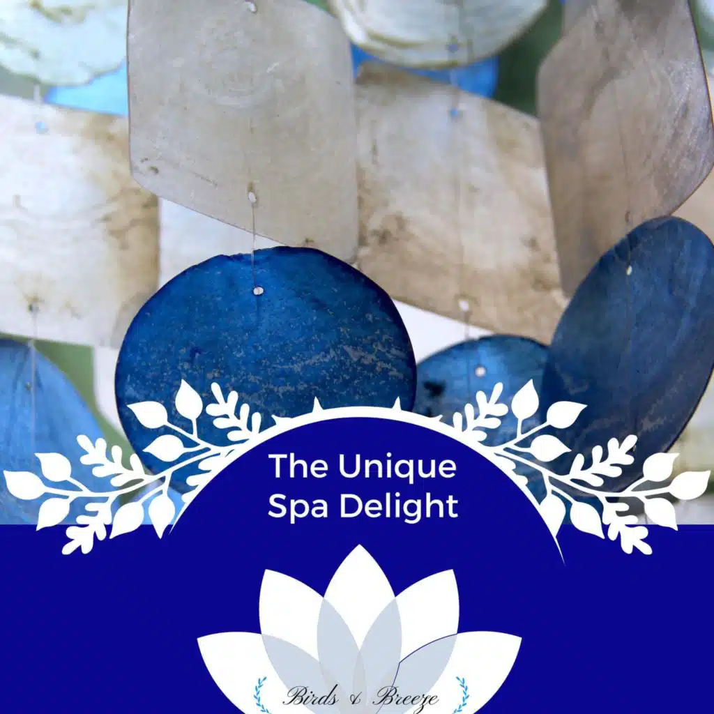 Enthralling Heat (Zen Meditation Psybient)