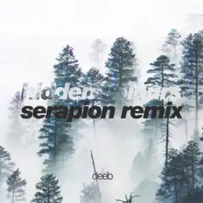 Hidden Colours (Remix) [feat. Deeb]