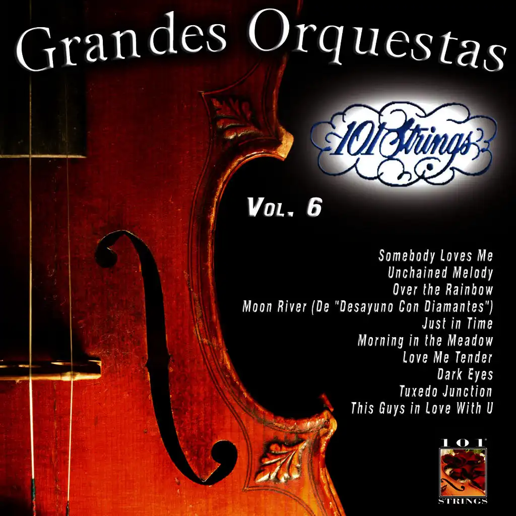 101 Strings Grandes Orquestas Vol. 6