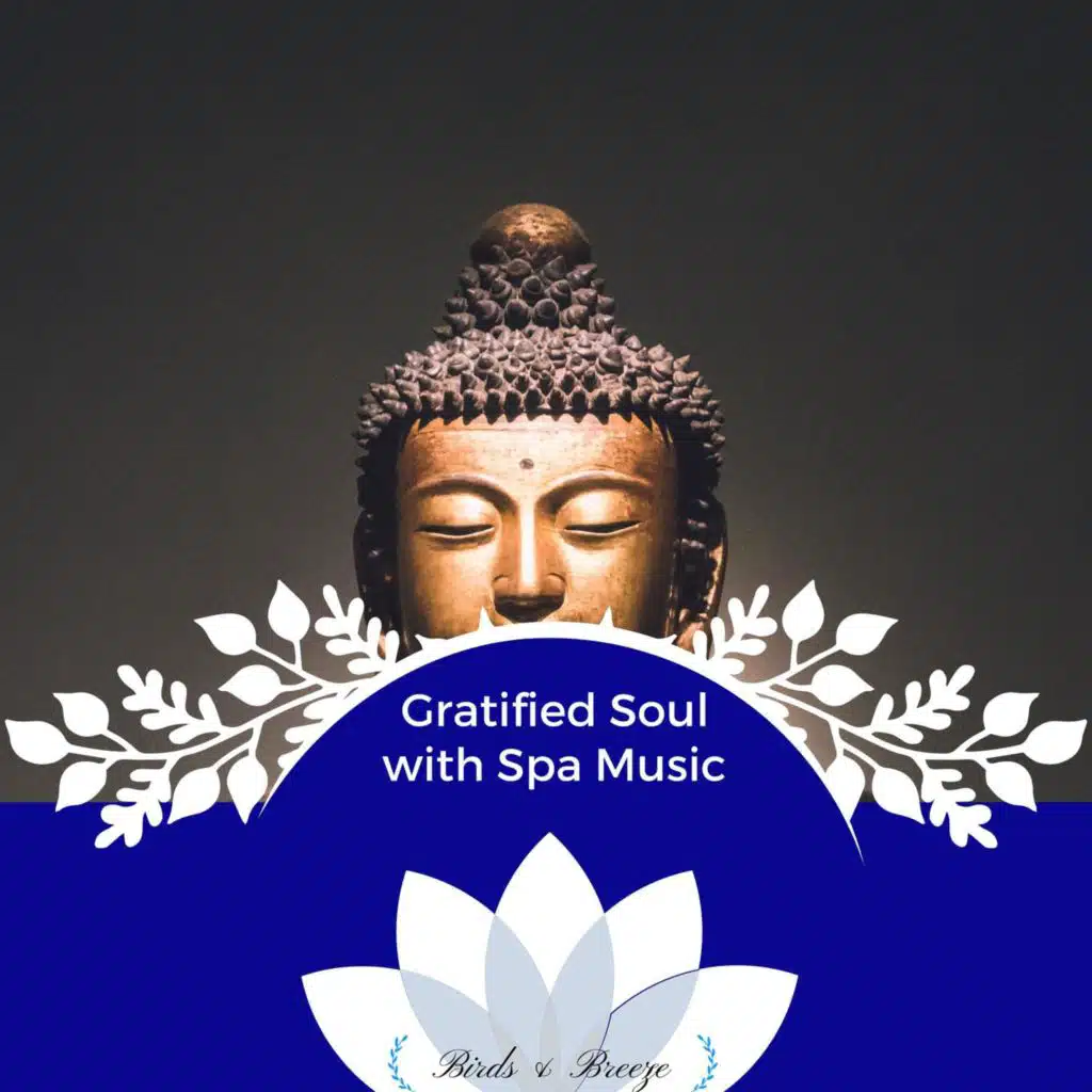 Gratified Soul With Spa Music