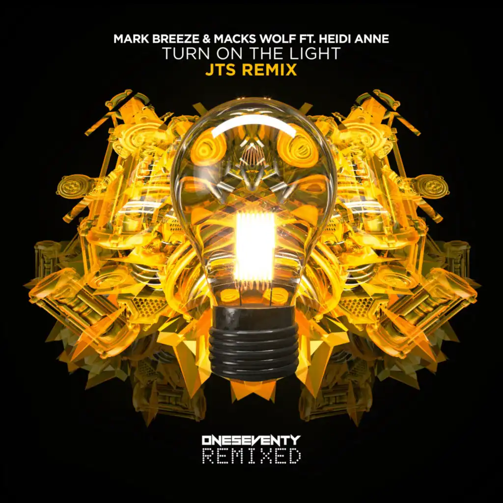 Turn On The Light (JTS Remix) [feat. Heidi Anne]