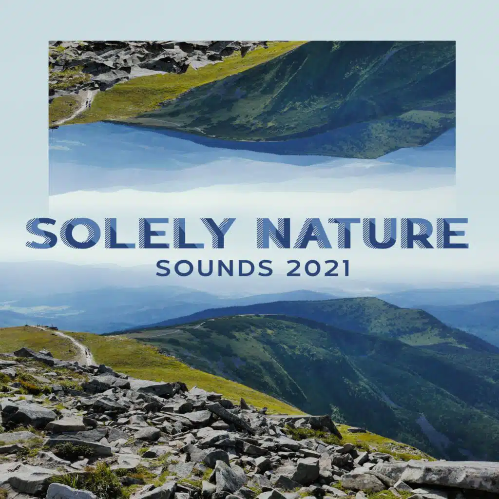 Rainy and Windy Ambiance