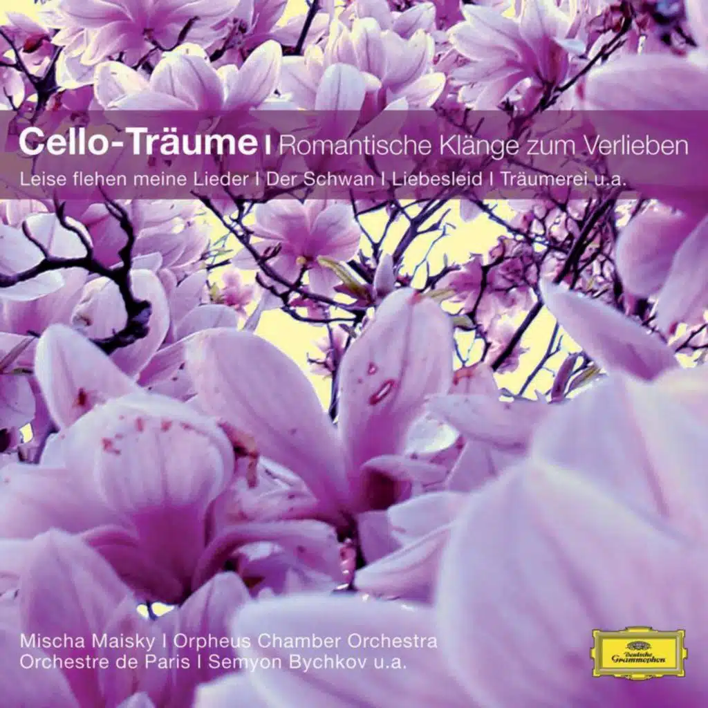 Tchaikovsky: Nocturne, Op. 19 No. 4 (Version for Cello & Orchestra)