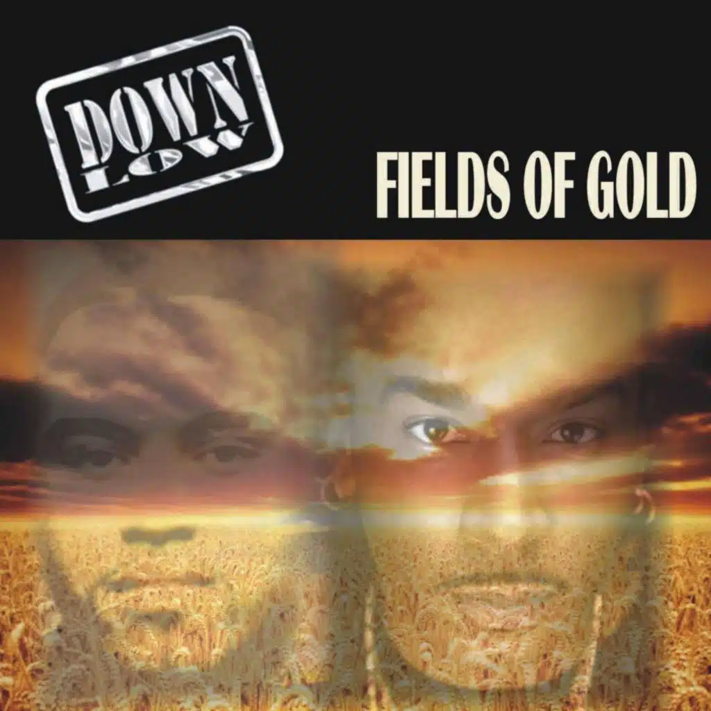 Fields of Gold (Maxi Version)