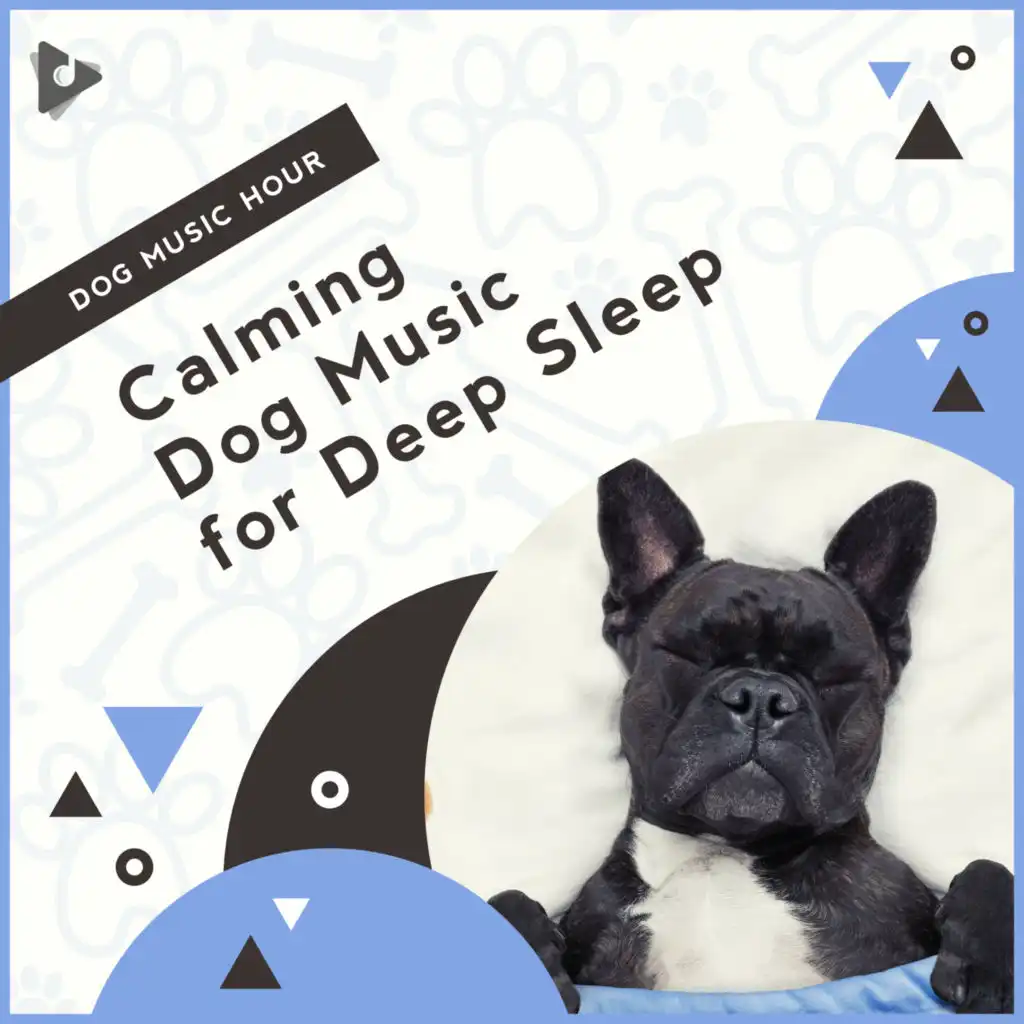 Calming Dog Music for Deep Sleep