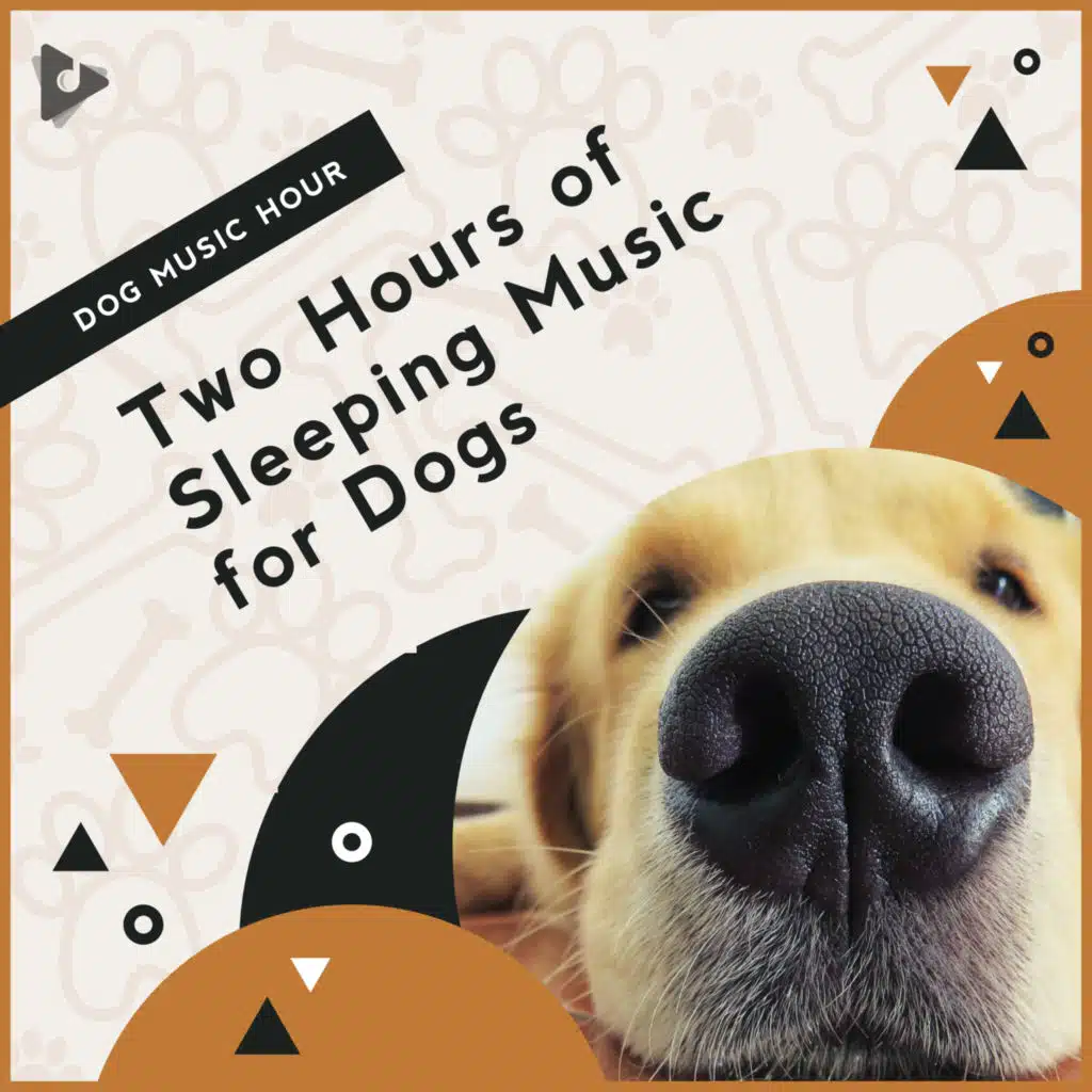 Peaceful Music for Dogs