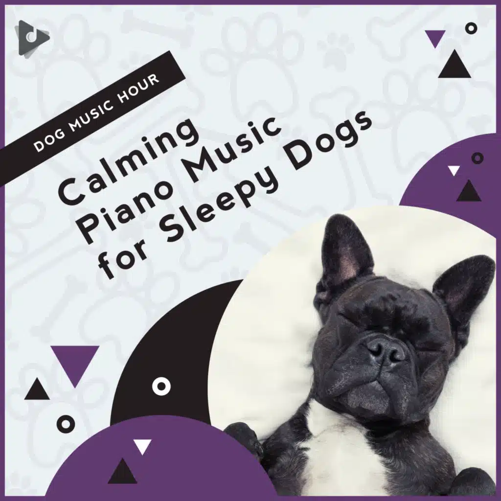 Calming Piano Music for Sleepy Dogs