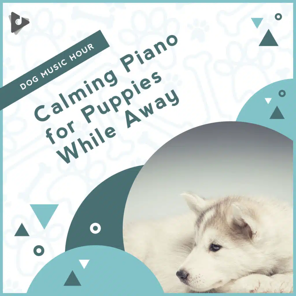 Calming Piano for Puppies While Away