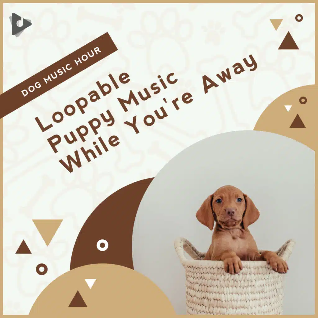 Loopable Puppy Music While You're Away