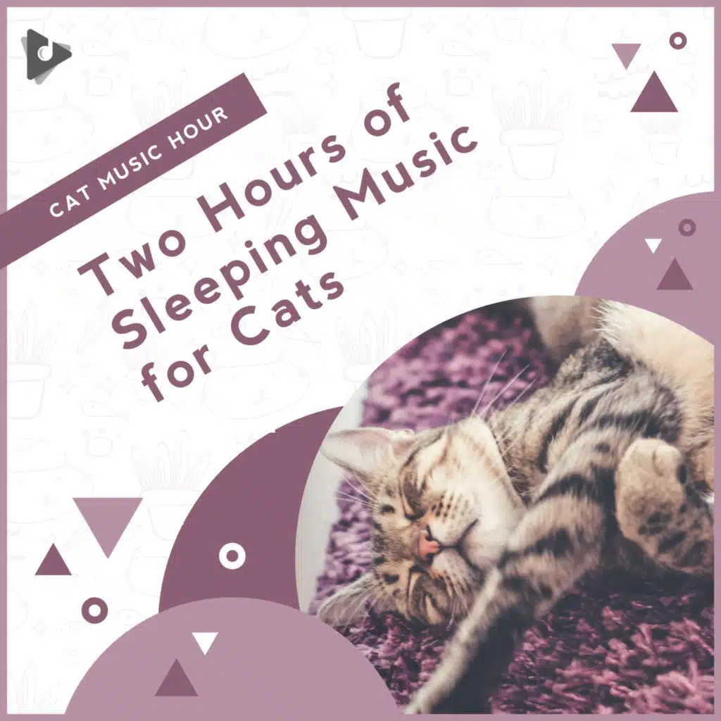Cat Music Hour & Kitten Music
