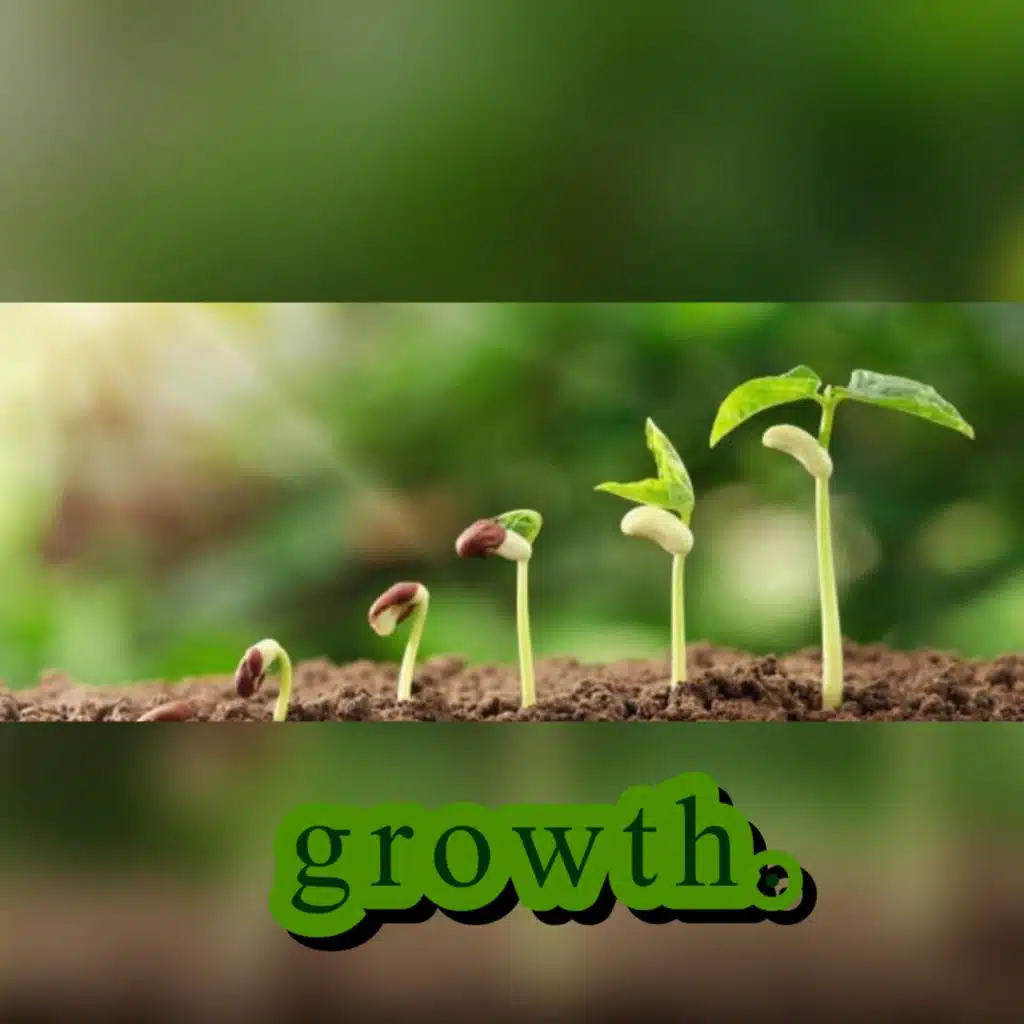 Growth.