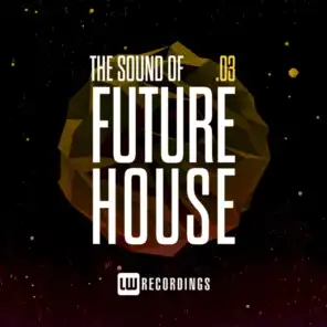 The Sound Of Future House, Vol. 03