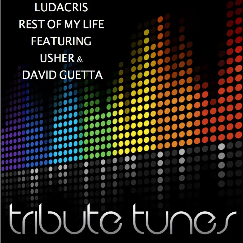 Rest of My Life (Tribute to Ludacris Feat. Usher & David Guetta)