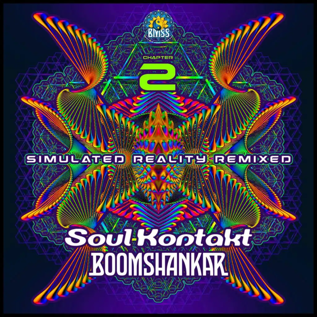 Simulated Reality (The Quasars Remix)