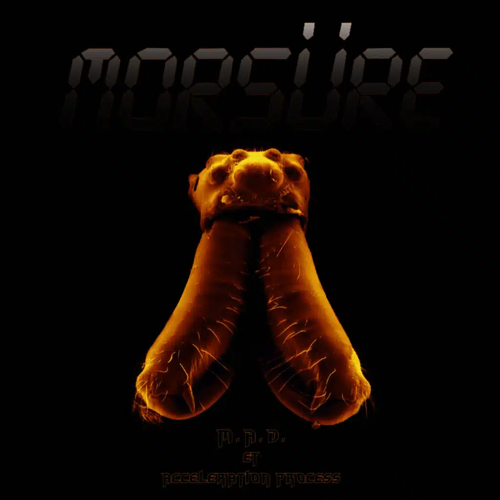 Acceleration Process