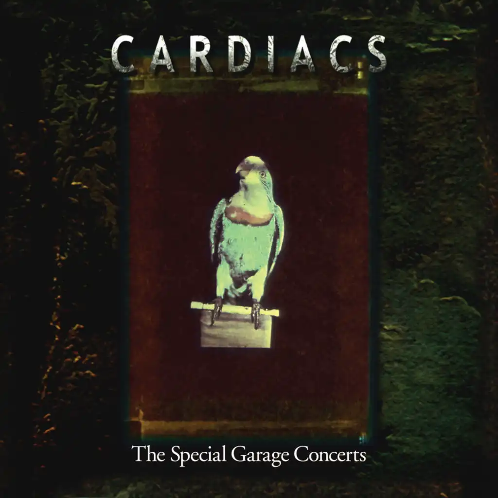 Cardiacs